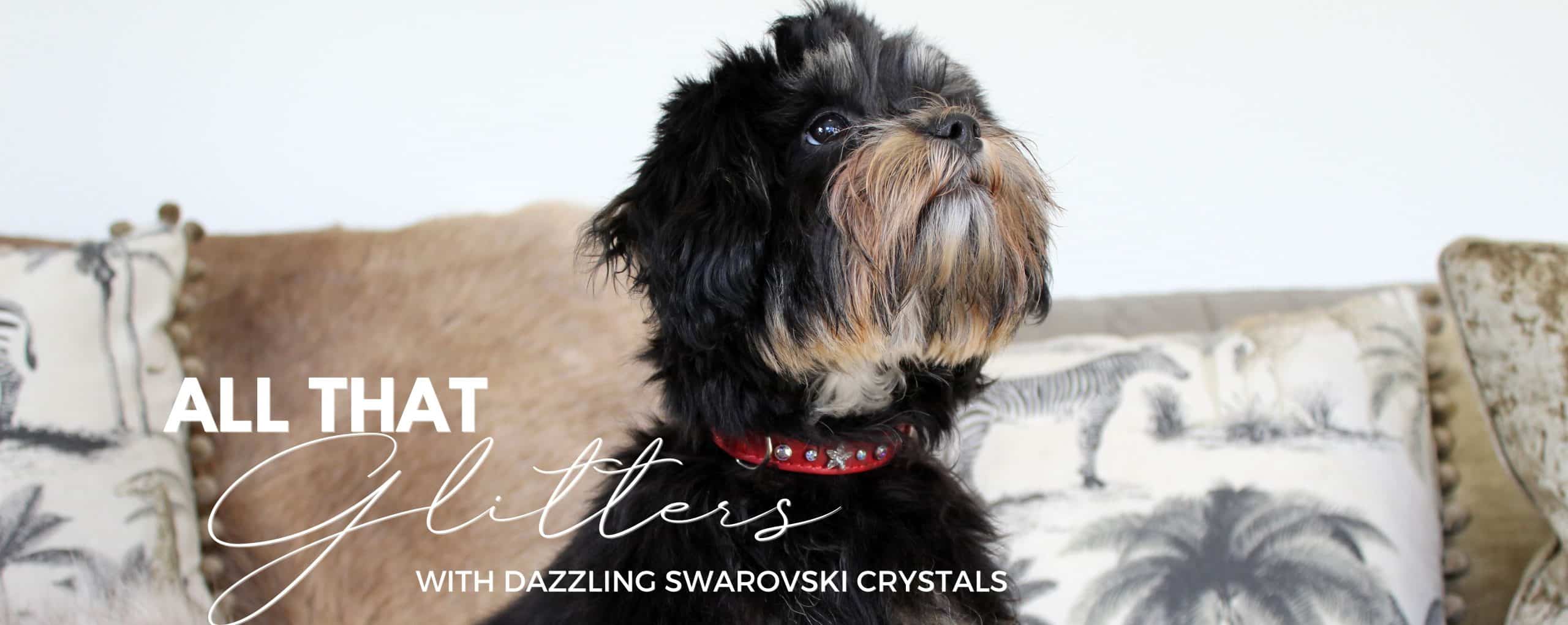 Dog Collar Swarovski Crystals Home Page Banner